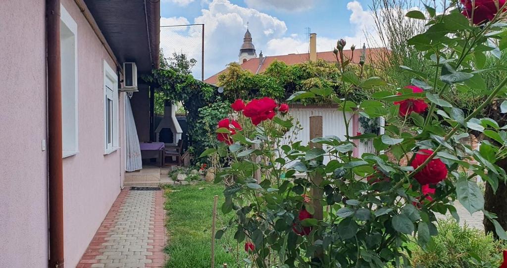 Apartman Ksenija Dakovo Exterior foto
